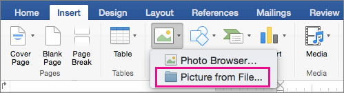 Does Word 14.0 For Mac Allow Pasting Photos Into A Document